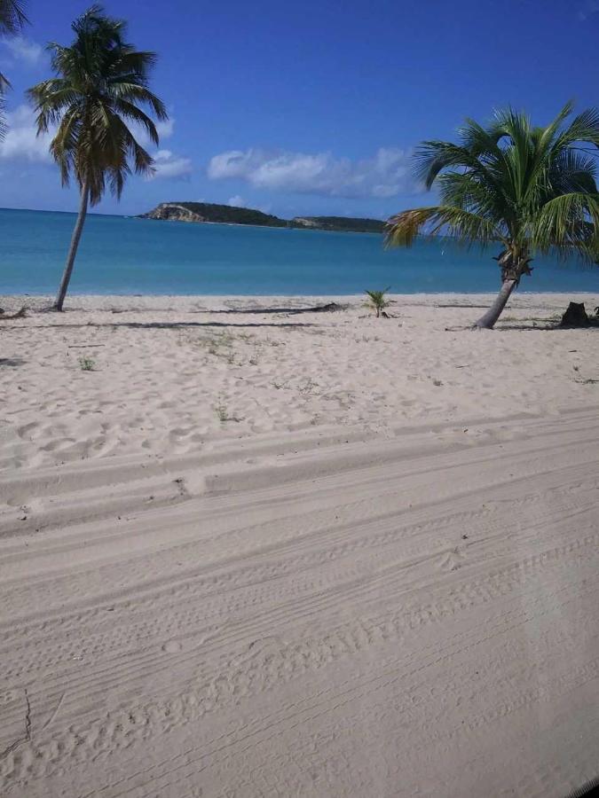 Crab Island Adventures Apartments Vieques Dış mekan fotoğraf