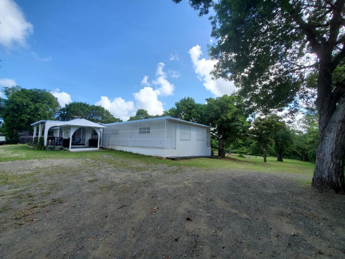 Crab Island Adventures Apartments Vieques Dış mekan fotoğraf